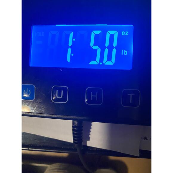 Blowfish Womans No Lace Sneakers 10 Gray Canvas Summer Slip On Shoes - Picture 11 of 11